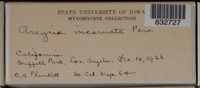 Image Associated With the Occurence